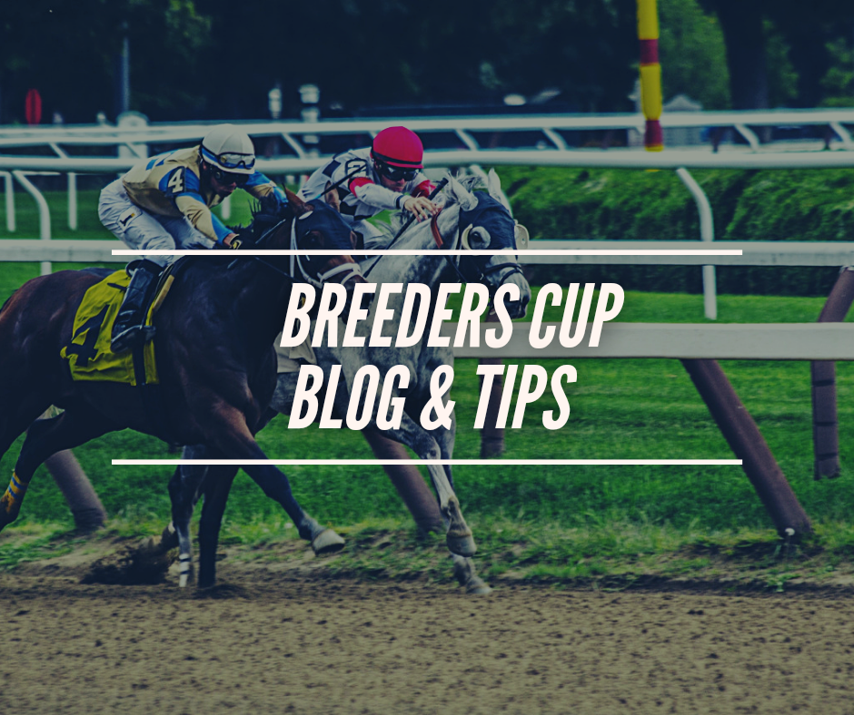 Breeders Cup Blog & Tips. (Saturday)