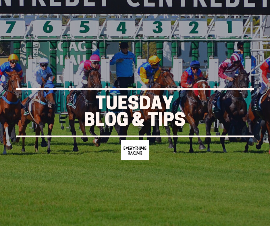 Tuesday Blog & Tips. (Thirsk)