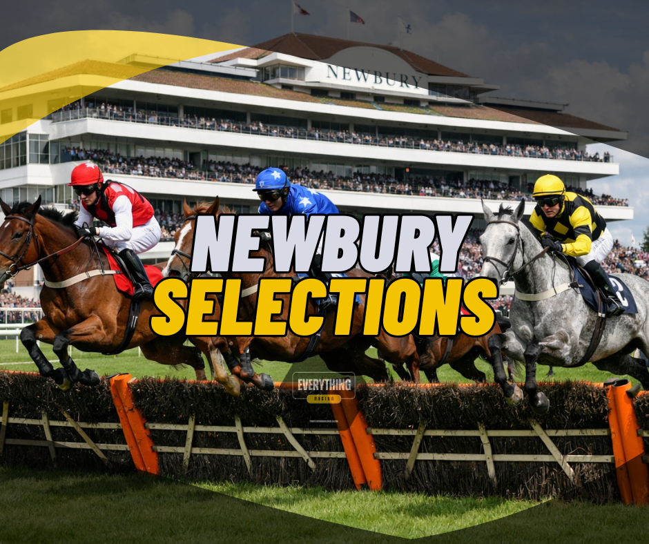 Newbury Selections. (Tuesday) (17/02/26)