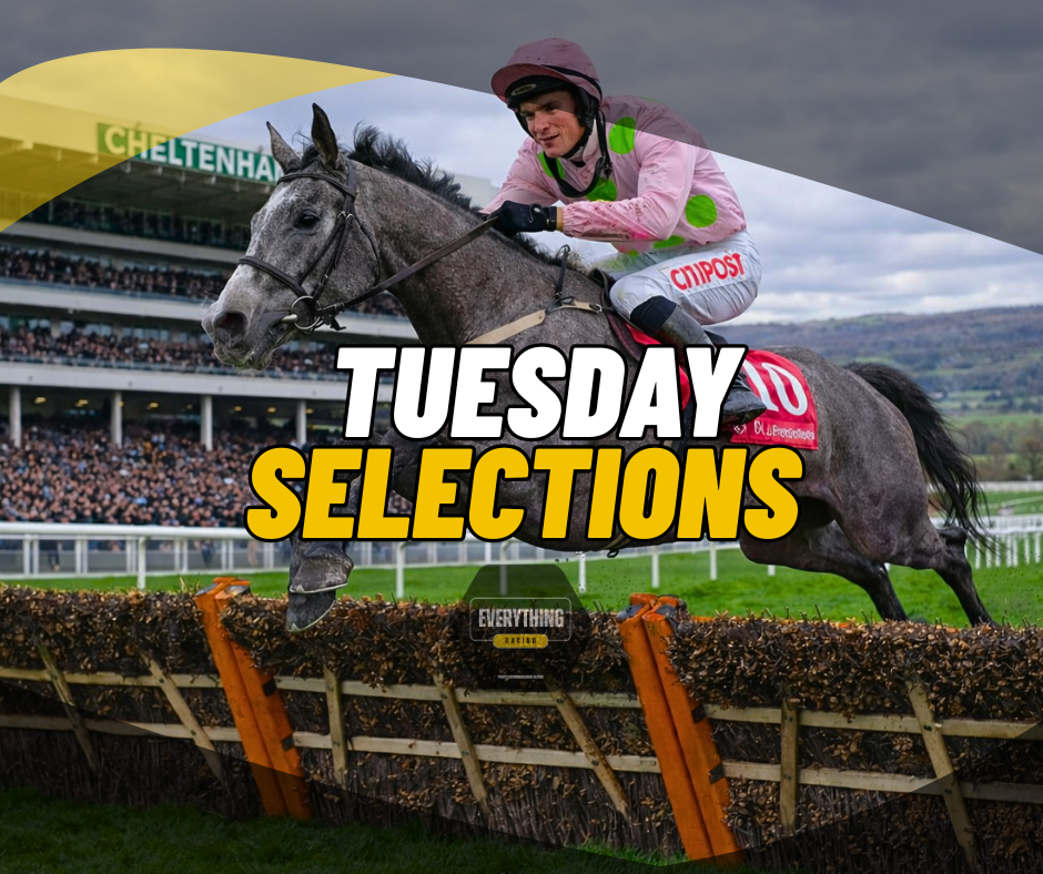 Tuesday Selections. (10/03/26) (Cheltenham Festival 2026)