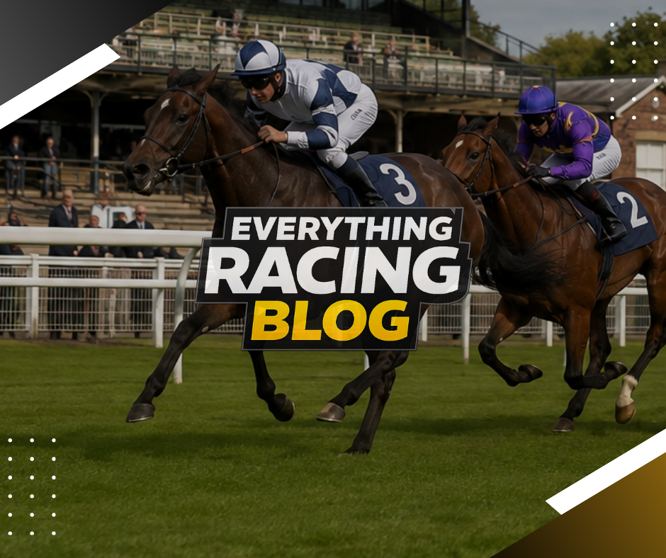 Friday’s Best Bet. (07/08/26)