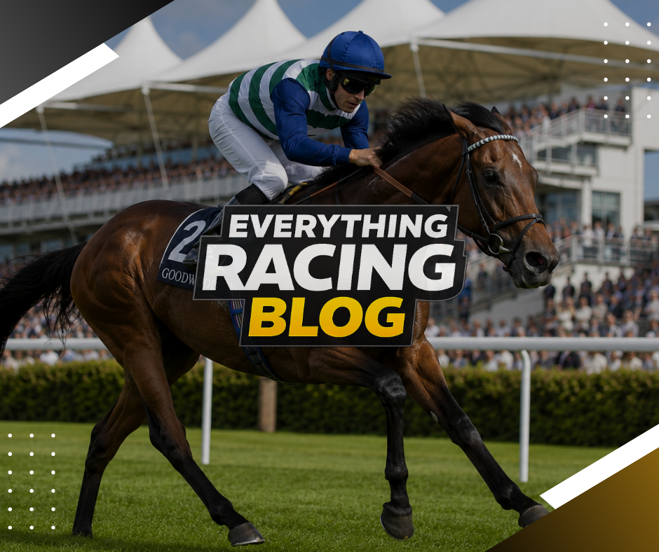 Saturday Bets. (29/08/26) (Goodwood)